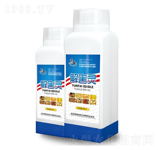 �⺦�`-���_(t��i)