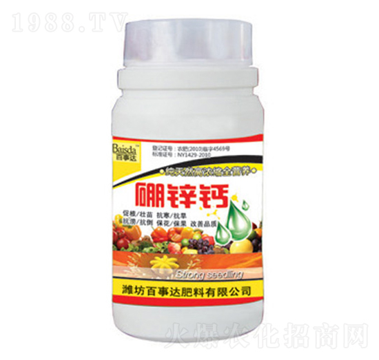 ȫ�I�B(y��ng)���\�}-�����_