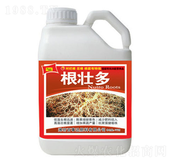 ���Ѷ�-�����_(d��)