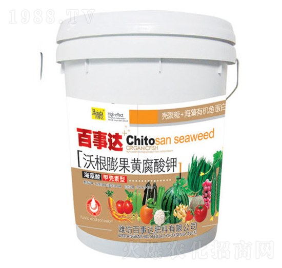 �ָ�����S�����-�����_