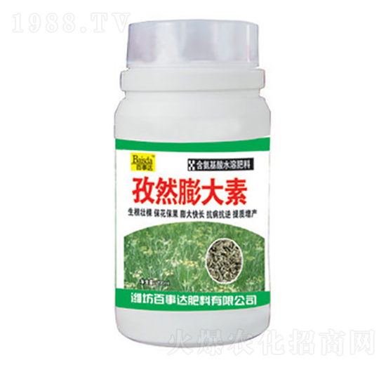 ��Ȼ�����-�����_