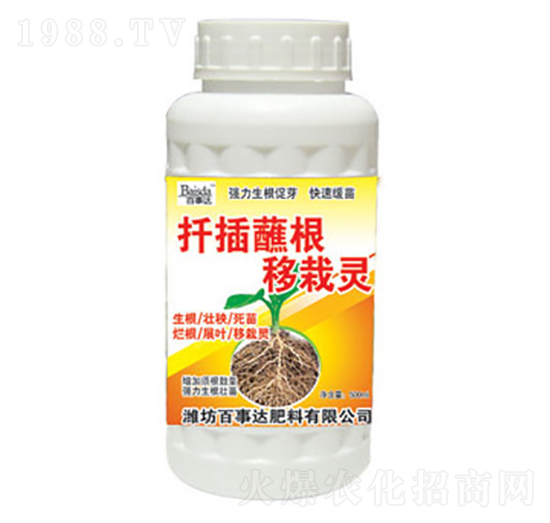 Ǥ�������`-�����_(d��)