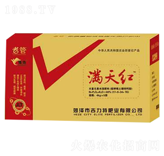 �M��t-�����طʘI(y��)