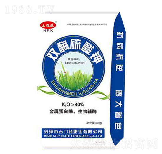 �pø�����-�����طʘI(y��)