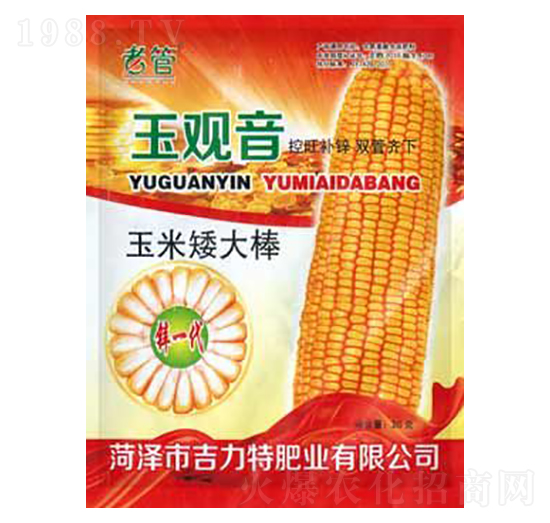 玉米矮大棒-玉觀音-吉力特肥業(yè)