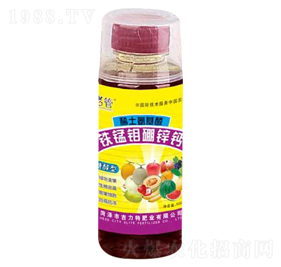 �F�i�f���\�}-�����طʘI(y��)