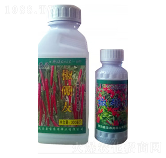 ������-�Ό�