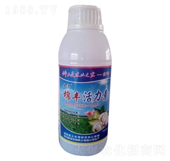 ���S������-����(j��)-�Ό�