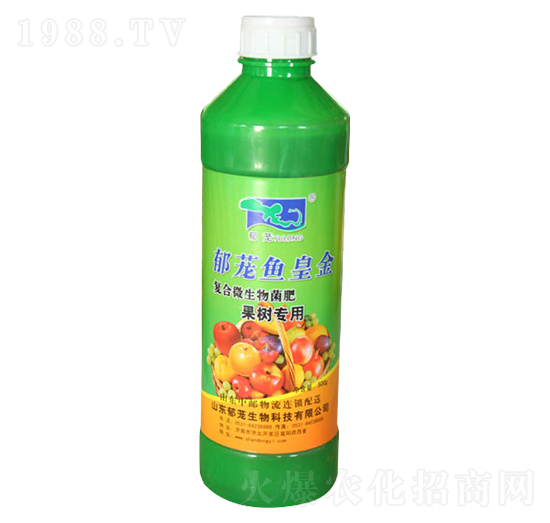 ���䌣��-���d�~�ʽ�-���d����