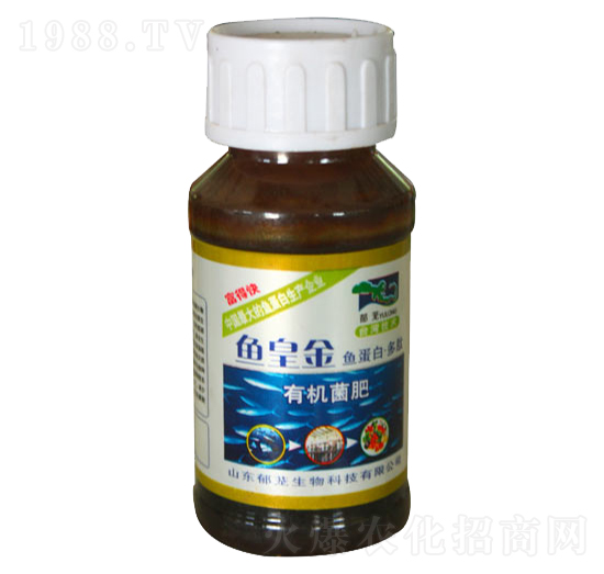 �~(y��)�ʽ��ЙC(j��)����-���d����