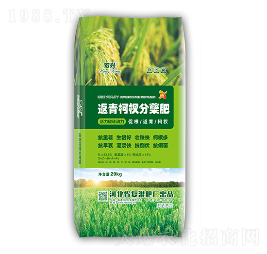 �����辷��Y��-���d-������