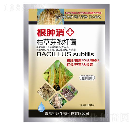 �ݲ�ѿ�ߗU��-���[��-�欔-�ʰl(f��)����