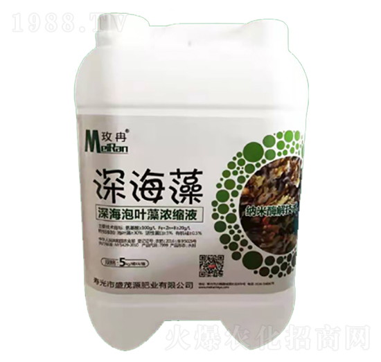 ����~���sҺ-���-ʢïԴ