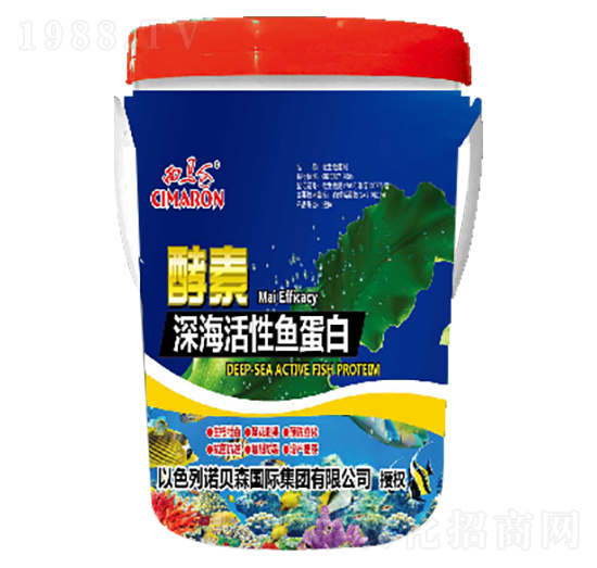 ��ĸ��������~����-���R������