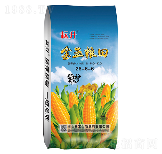 ����Z��28-6-6-̩������