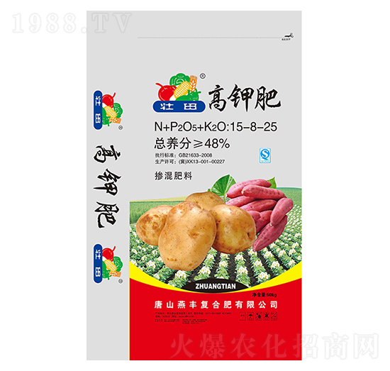 ����͓������15-8-25-����-���S