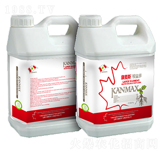 ����˹���׶�-��(r��n)������