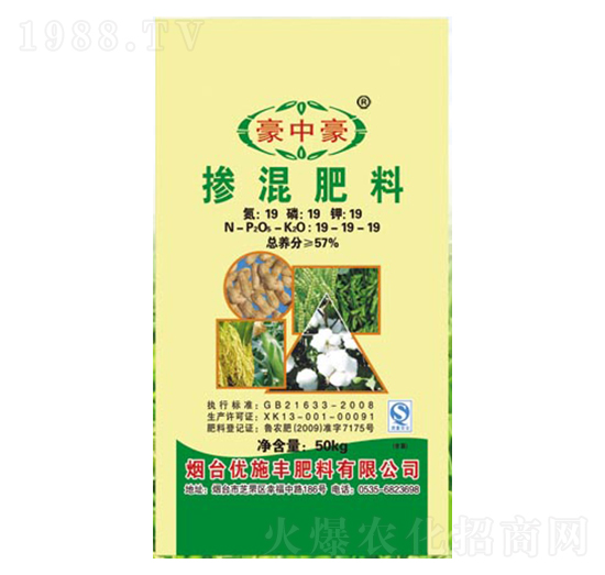 �������19-19-19-���к�-��(y��u)ʩ�S