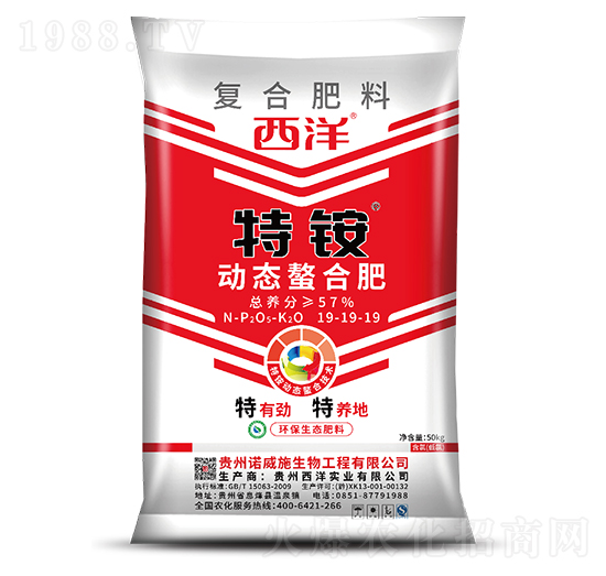 �ӑB(t��i)���Ϗ�(f��)�Ϸ���19-19-19-���@-���󌍘I(y��)