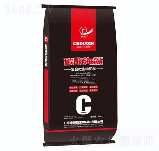 ̼ø����-����