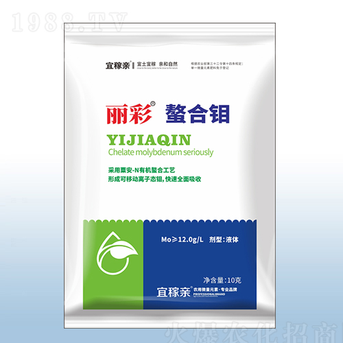 ���������f-�ڰ�