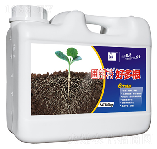 �ö��-������