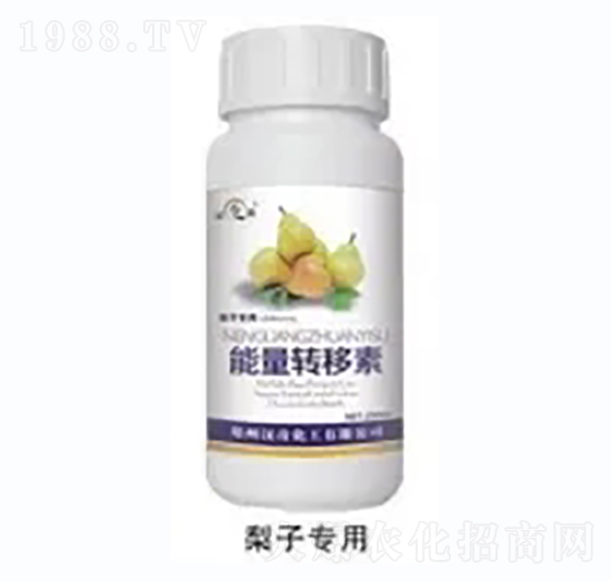 ���������D����-�h�滯��