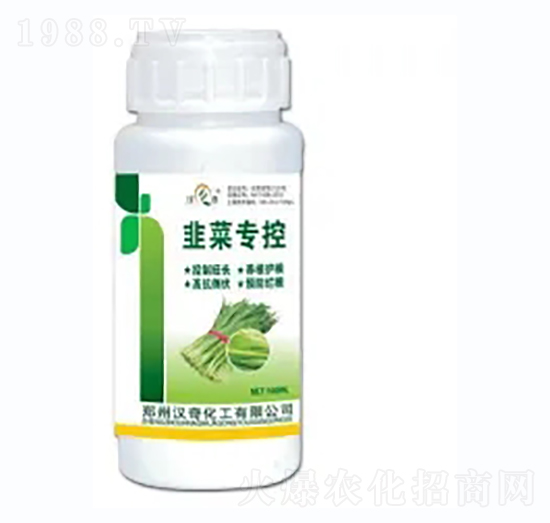 �²ˌ���-�h�滯��