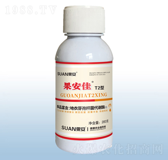 ������T2��-�ڰ�