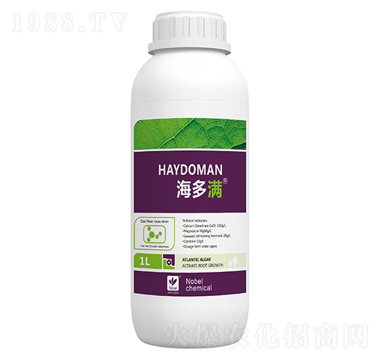 1L�����M�}�V�̼���-������