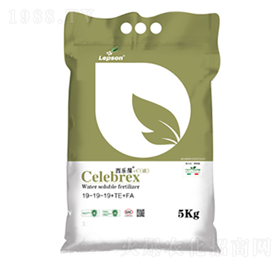 ˮ���Է���19-19-19+TE+FA-������+C-������