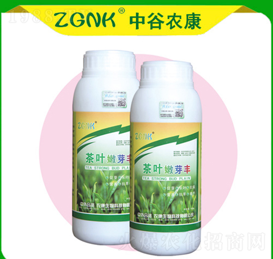 ���~��ѿ�S-�й��r��