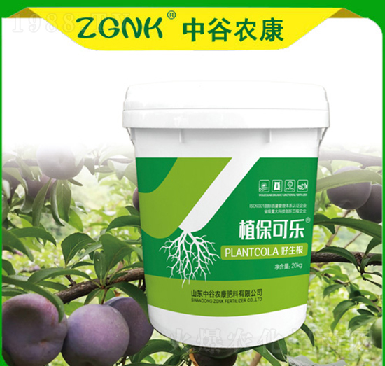 ������-ֲ���ɘ�-�й��r��