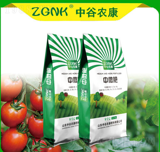 ��΢��-�й��r(n��ng)��