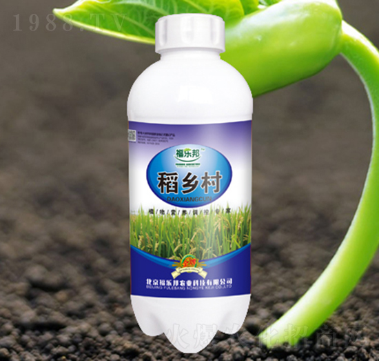 ���l(xi��ng)��-������