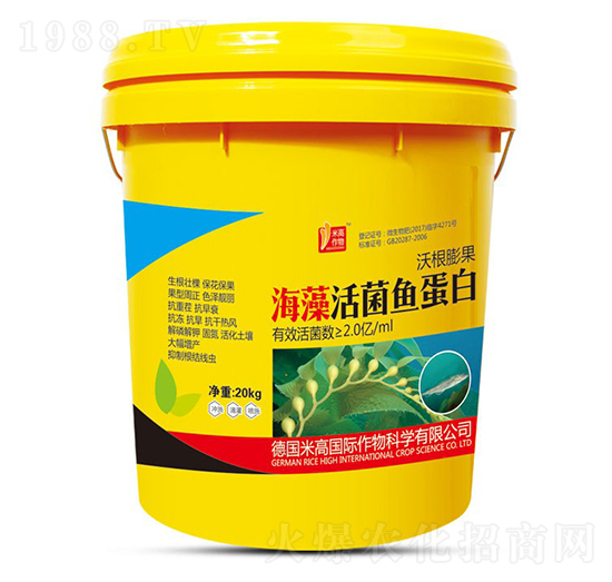 �������~����-ʥ�ϝ�