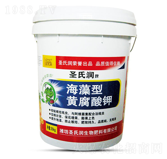 �������S�����-ʥ�ϝ�