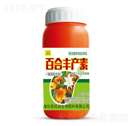 �ٺ��S�a(ch��n)��-ʥ�ϝ�(r��n)