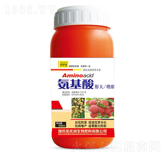 ������-ʥ�ϝ�(r��n)