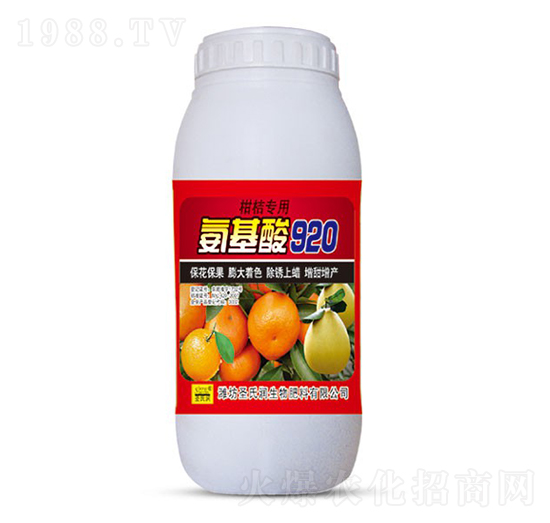 �̽ی��ð�����920-ʥ�ϝ�