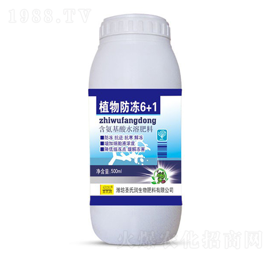 ֲ�����6+1-ʥ�ϝ�