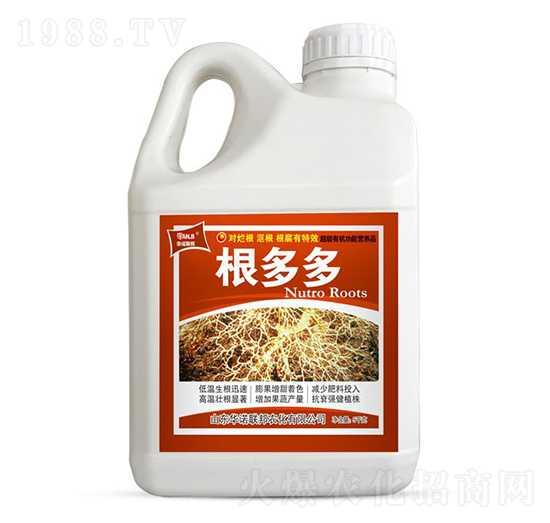 5kg�����-ʥ�ϝ�