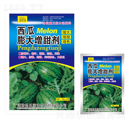 �������������-ʥ�ϝ�