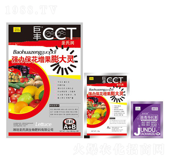 ��(qi��ng)��������������`-ʥ�ϝ�(r��n)