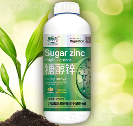 �Ǵ��\-������