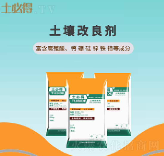 ����������-�ɼo����