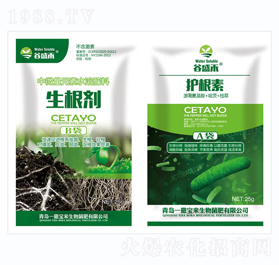 ������+�o(h��)����-һ������