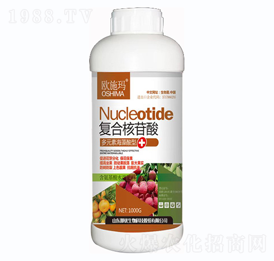 �ͺϺ�����-һ������