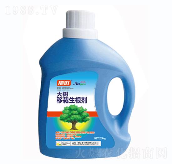 �������������-һ������