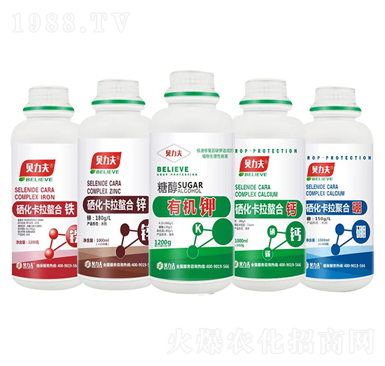 �����������Ϸ�ϵ��-� ��S